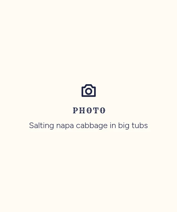 Photo placeholder: Salting napa cabbage in big tubs